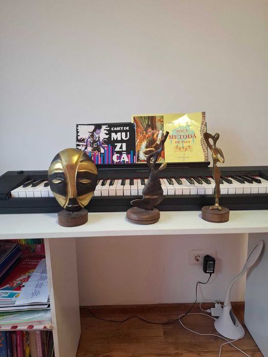 Statui din Congo 150 ron bucata