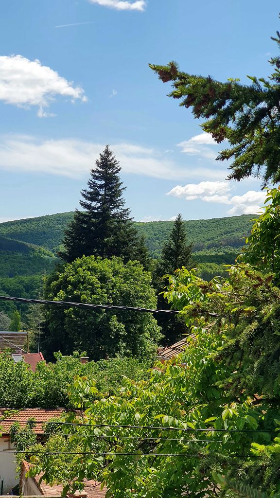 Продава се Къща в с. Старозагорски бани, Област Стара Загора - 145 кв.м за 966 €/кв.м - Снимка #10