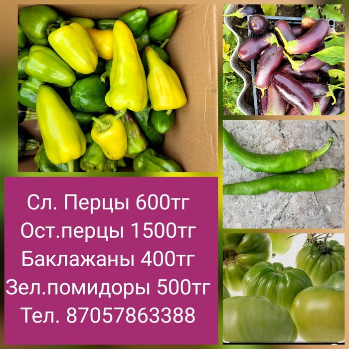 Продам домашние помидоры, Баклажаны, сл. Перцы, ост. Перцы