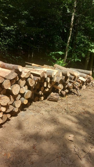 Vând Lemne de foc fag crepatura cu transport inclus pana la domiciliu