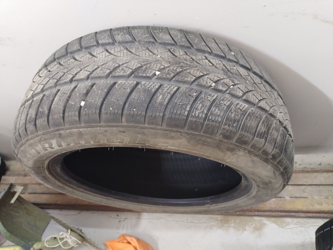 Зимние шины Triangle 215/55R17