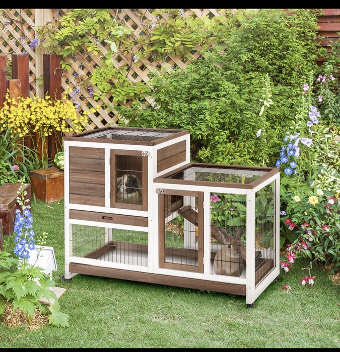 Cusca rozatoare, iepuri, porcusori de guinea, chinchilla etc