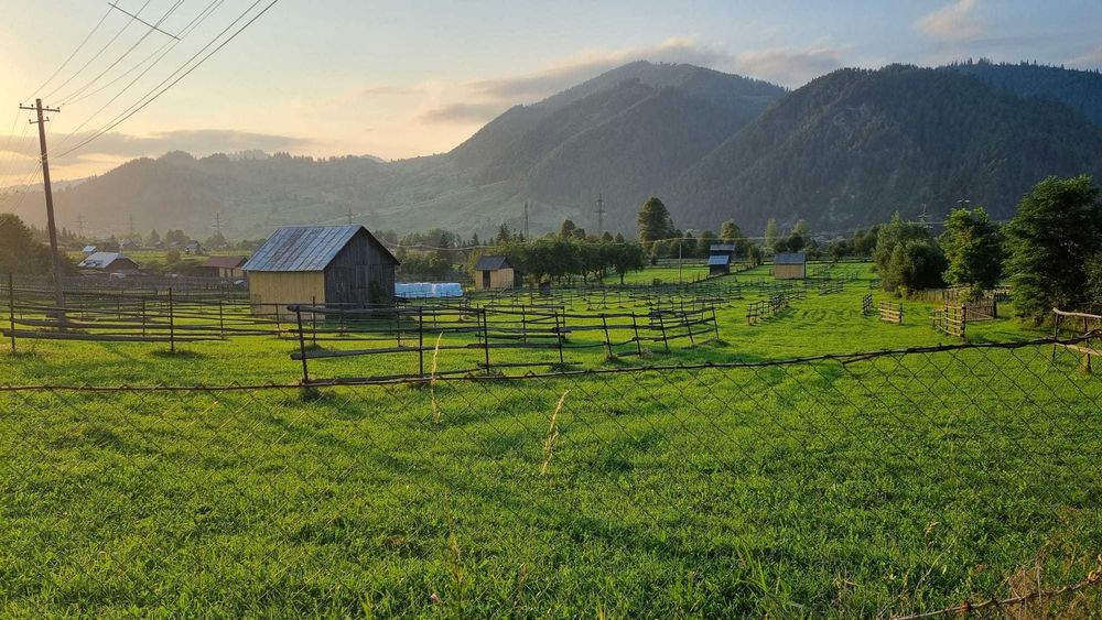 Vând loturi teren construibil  - 25euro/mp