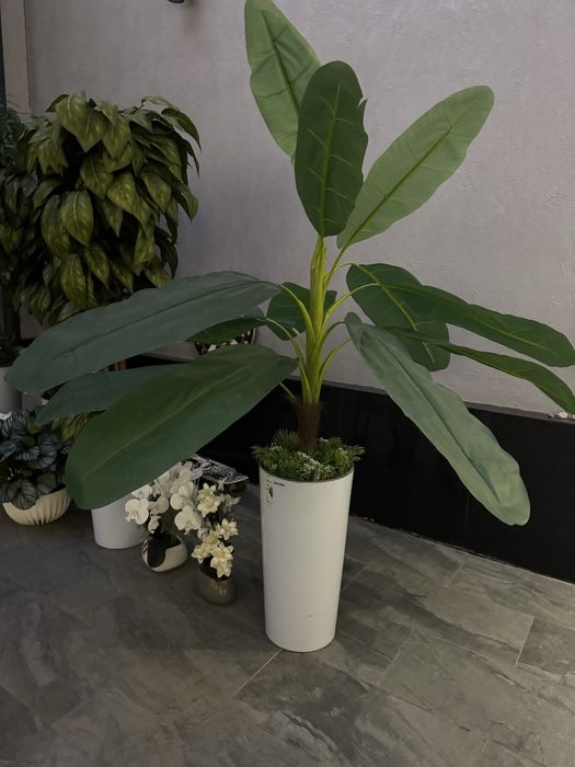 Искусственные растения, декор для дома