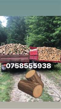 S.C vinde lemn de foc