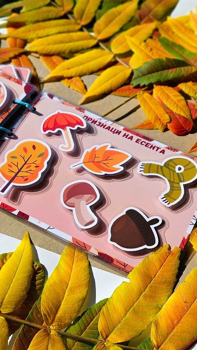 Велкро албум " есенни забави" 2+