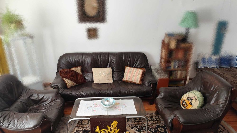 garnitura hol /living piele