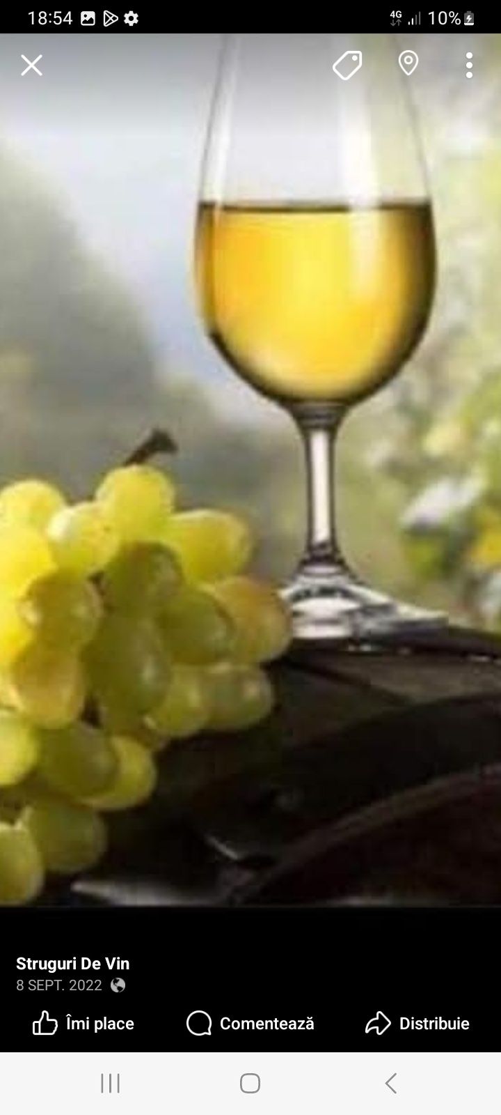 Struguri de vin producția 2025 sunați