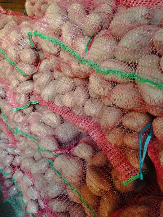 Cartofi consum roșu și alb