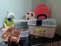 Set accesorii hamster: roata, casute, cutie de transport si altele