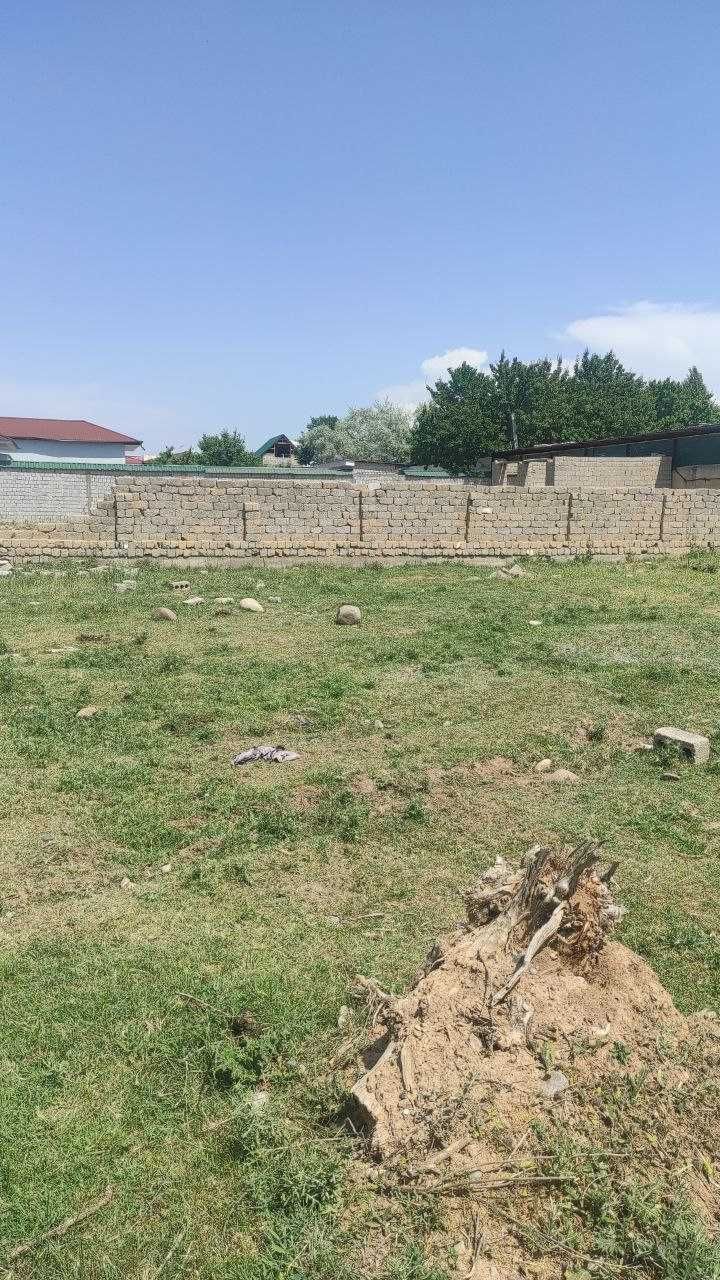 баракали яхши дачаси янги эгасини  кутвотди