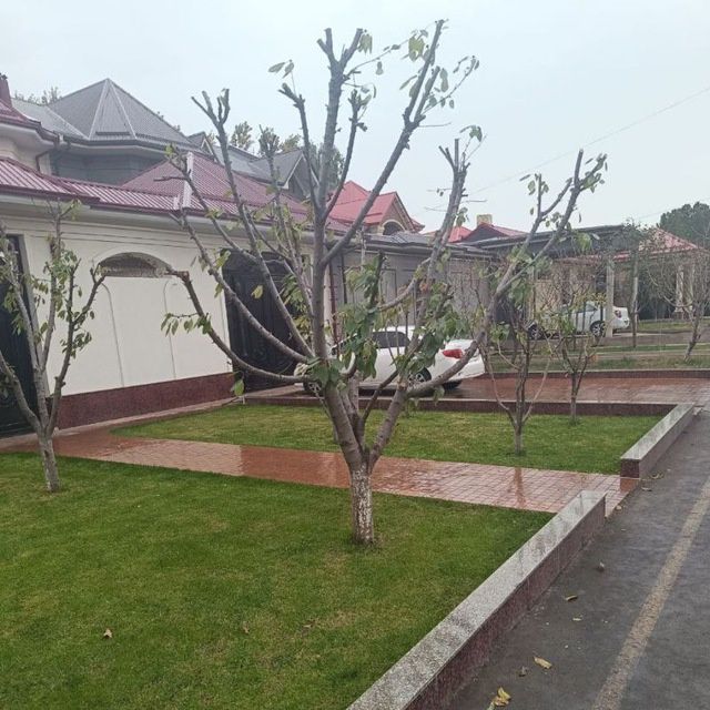 Дарах.кесиш.Богбон