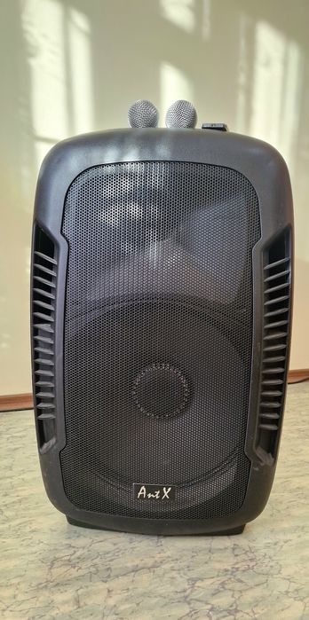 Караоке тонколона PS15-2U LED AntX