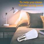 Bec becuri LED fasung e12 pentru ghirlande si alte aparate 220v 1w