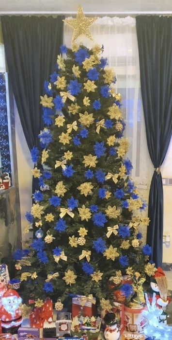 Brad impecabil,250 cm înălțime