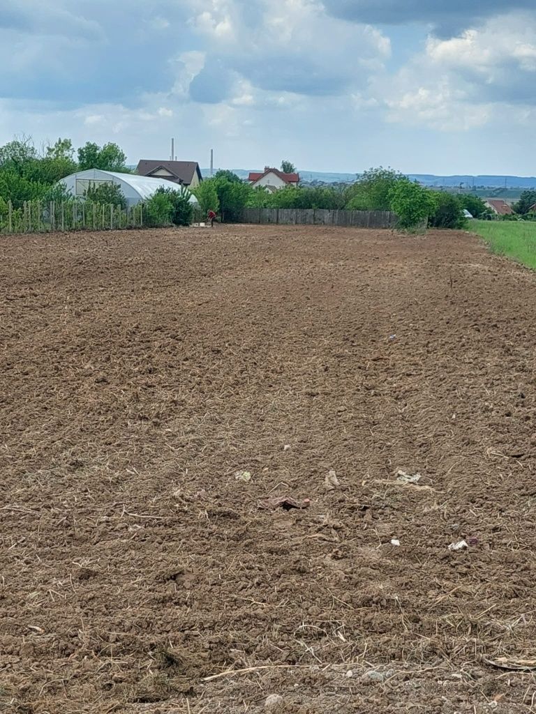Teren Floresti, Simnicu de Sus, 3007 mp