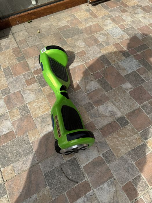 Hoverboard monkey
