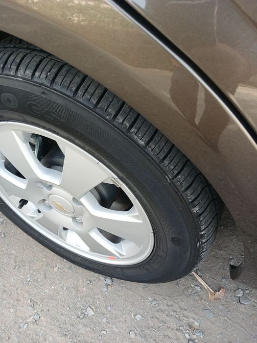 Gentra Lasetti 2023 zeus