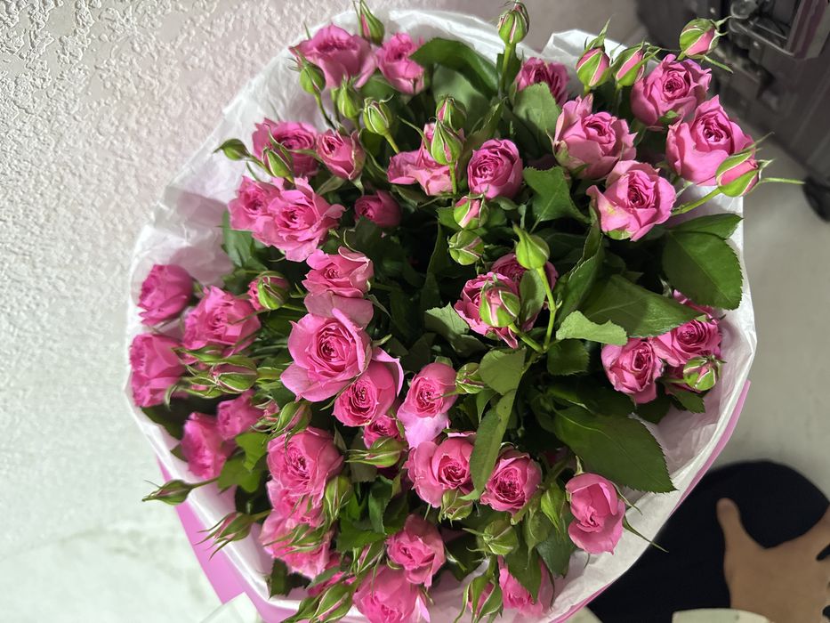 Цветы спрей розы