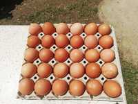 Продавам домашни яйца