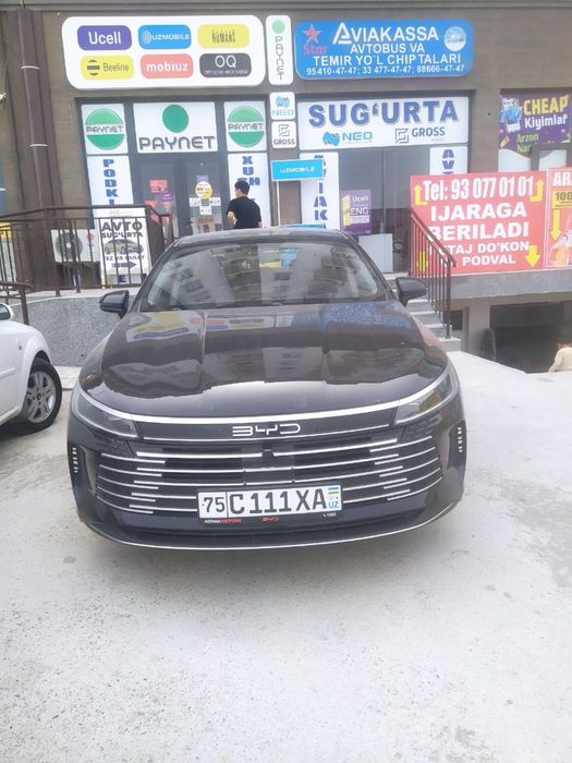 Byd chazor Черный Гибрид отличный состаяние