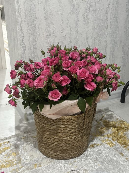 цветы, спрей роза