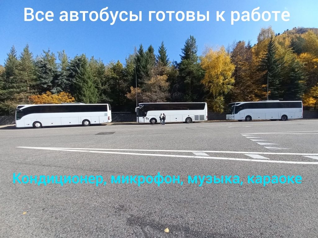 Аренда автобусов