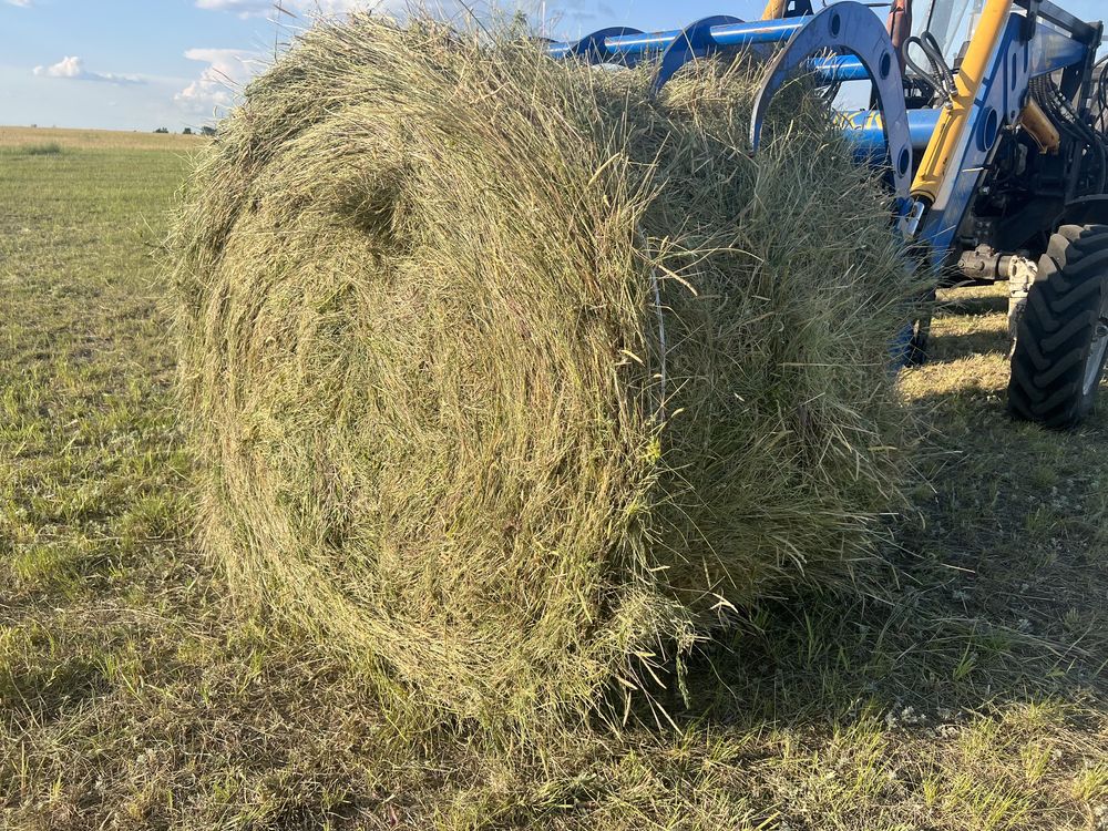 Продам сено, луговое разнотравье