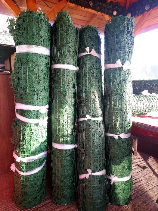 Gard Artificial Role 2 x 10 Metri 2 x 7 Metri