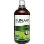 Silicium G7 Siliplant Dinamizat