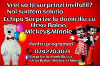 Surprize la domiciliu cu Ursu Baloo, Mickey&Minnie