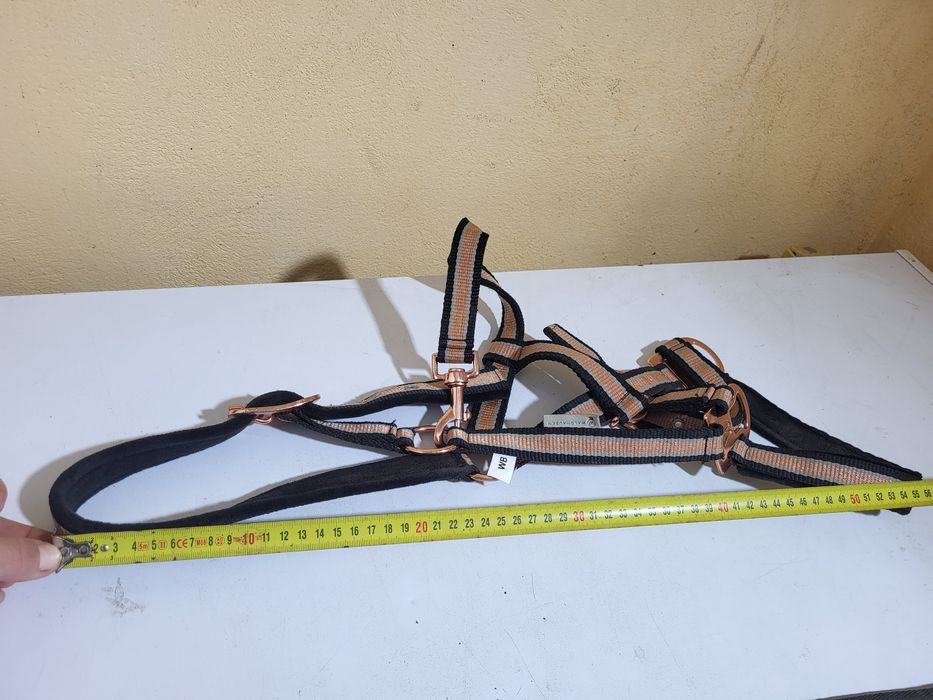 Capastru ,echitație