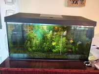 Acvariu AQUAEL complet echipat 60 l