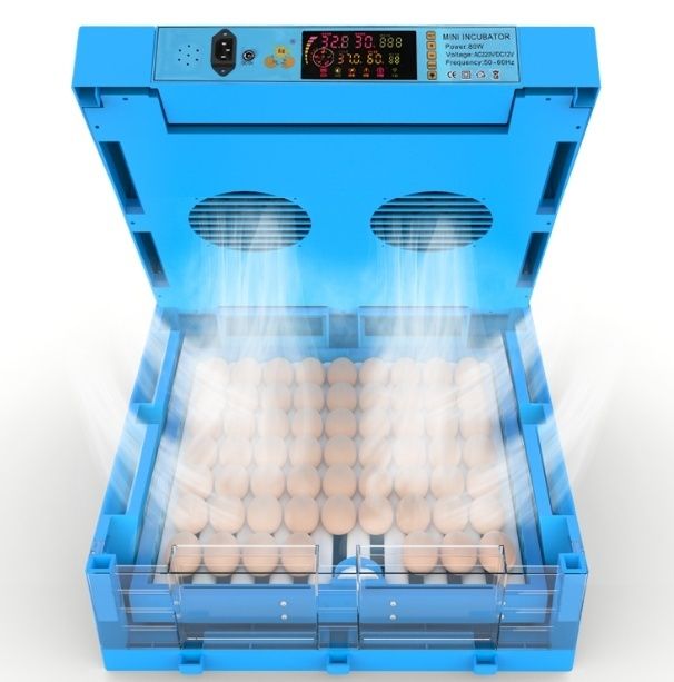 Инкубатор на 64 яйца. Inkubator. Есть в наличии.