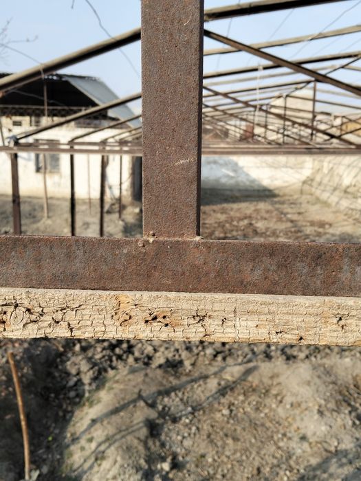 Иссик хона парник