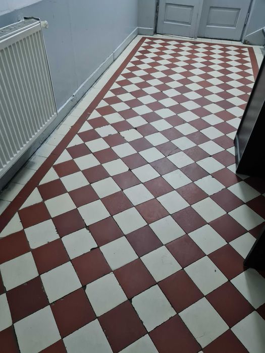 Servicii de curățenie, Amenajare gradini, curti, Desinsectie cu Abur