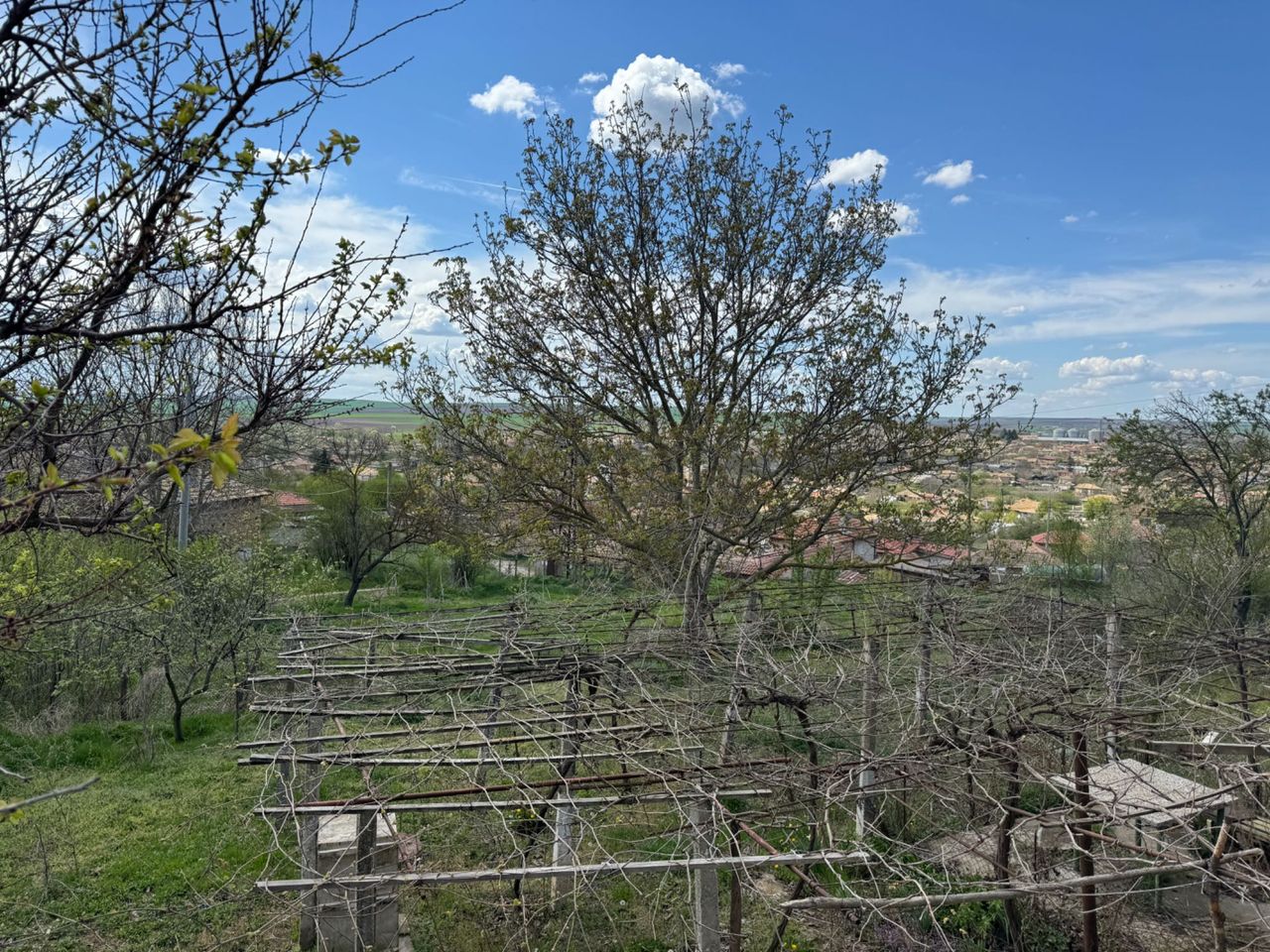 Продава се Къща в с. Брестак, Област Варна - 186 кв.м за 74 €/кв.м - Снимка #17