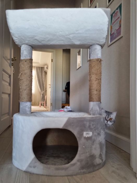 Домик для кота очень красивый.