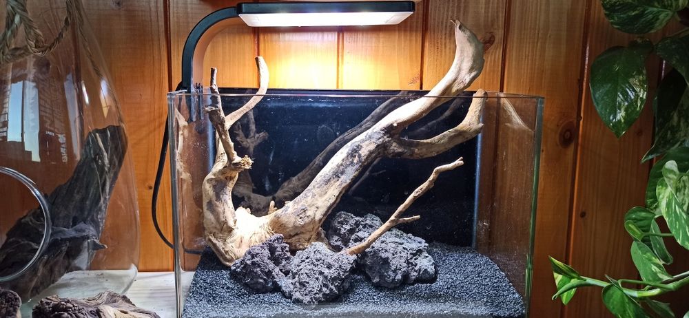 Amenajare acvarii și intretinere