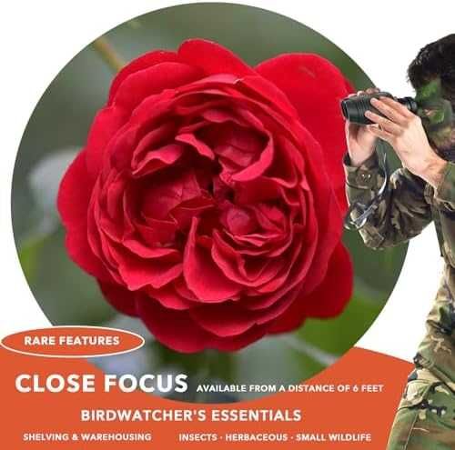 Нов Мини Бинокъл 10x25 Възрастни Деца Туризъм Лов Природа наблюдение