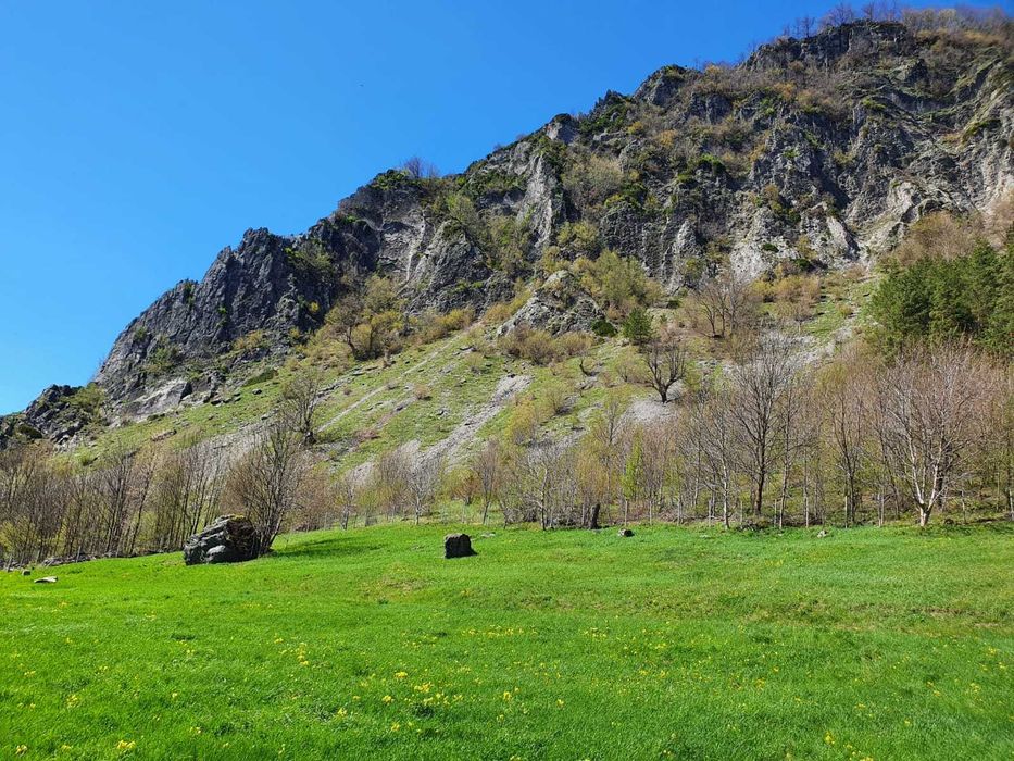 Teren de vanzare statiunea Lepsa