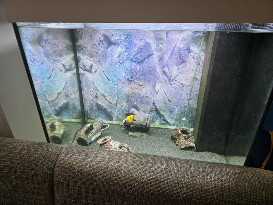 Acvariu juwel 120 litri