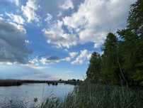 Comana, Jud Giurgiu, Str. Bujorului, 1262 mp, langa Parcul Natural