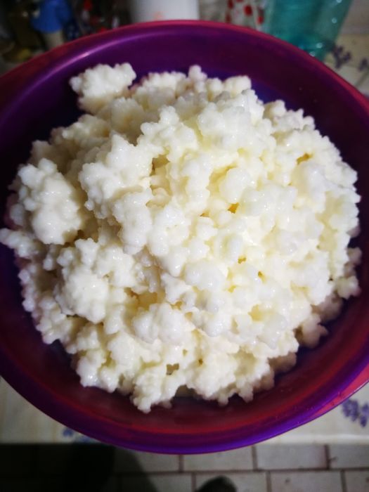 Vand ciuperca kefir