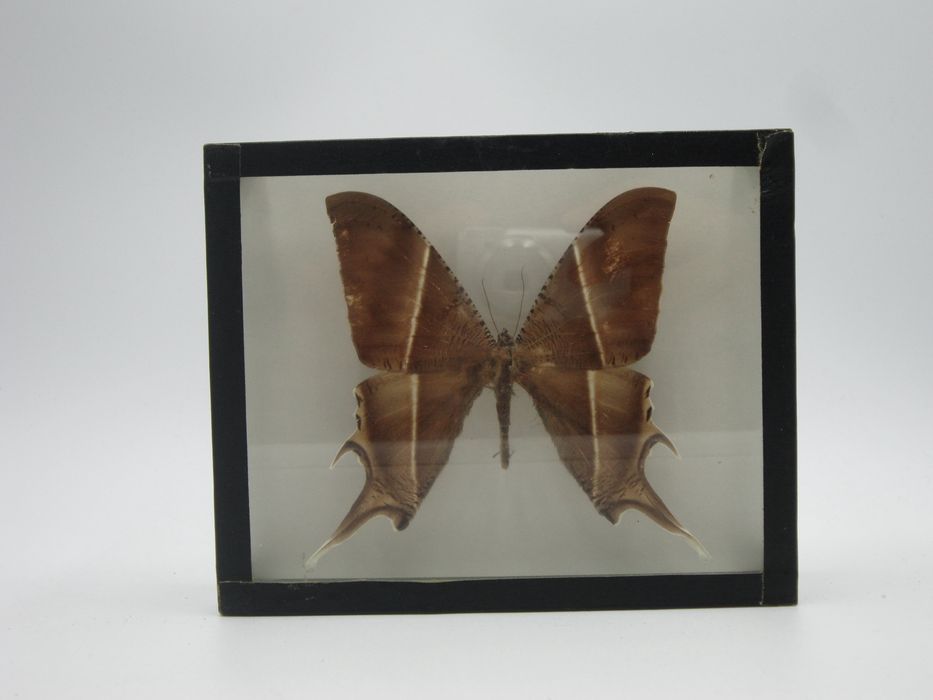 Canon PowerShot A3200 IS - camera digitala