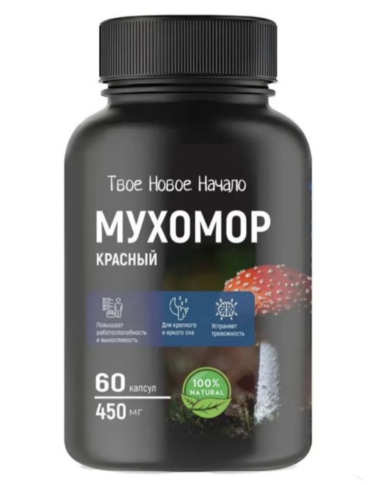 Гриб здоровья понтерный