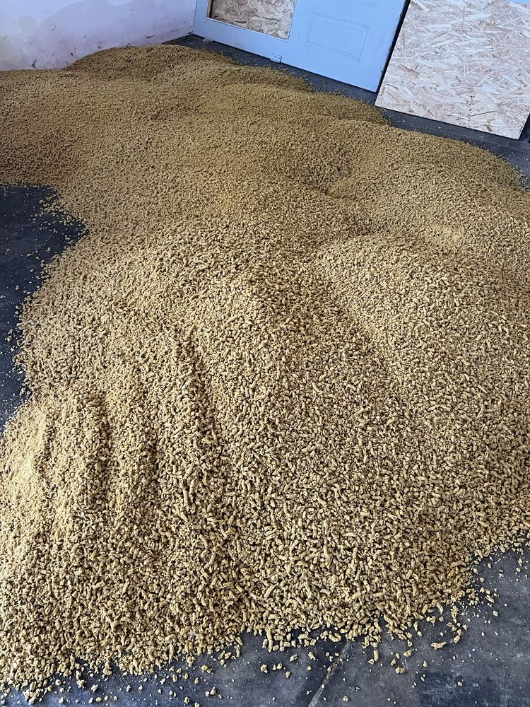 Srot Soia full fat proteina bruta 46%