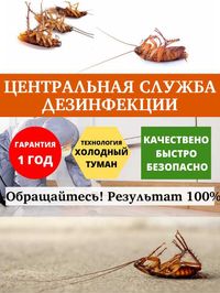 Дезинфекция Уничтожение тараканов клопов мошек крыс блох муравьев ос