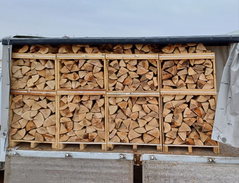 Lemne de foc fag esenta tare