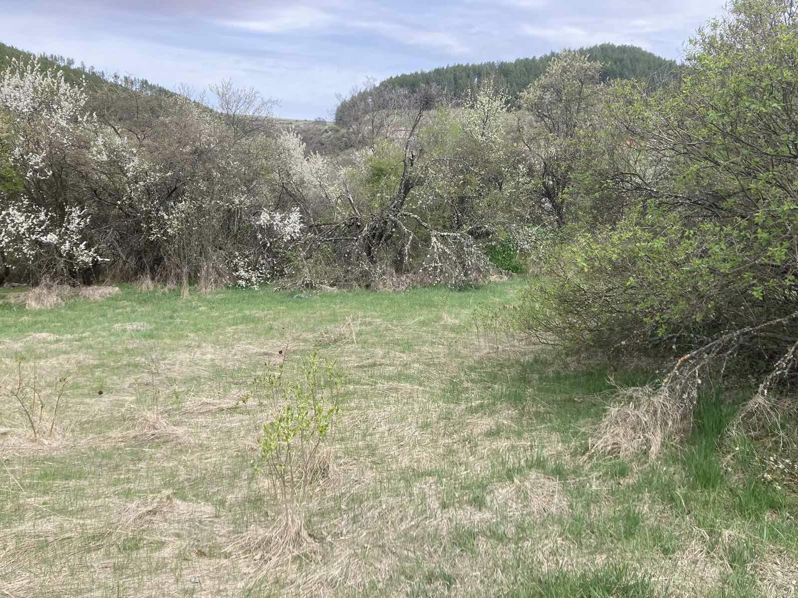 Парцел в село Бабица